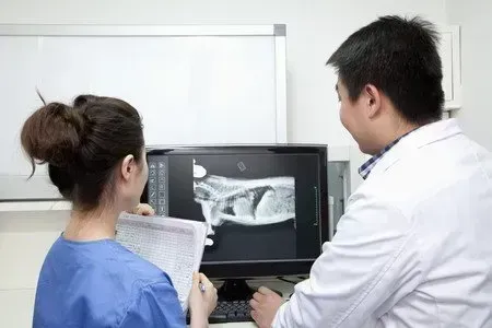 Services médicauxwebp